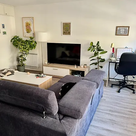 Grand Et Lumineux 2 Pieces Avec Climatisation En Zone Pietonne * Haguenau
