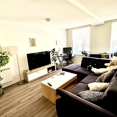 Grand Et Lumineux 2 Pièces Avec Climatisation En Zone Pietonne Appartamento Haguenau