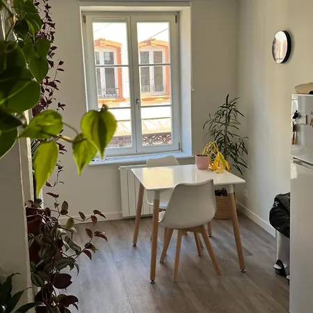 Grand Et Lumineux 2 Pieces Avec Climatisation En Zone Pietonne Apartament Haguenau