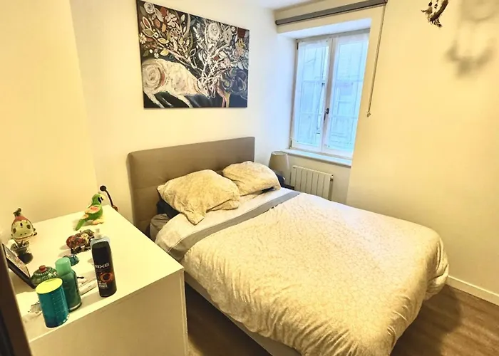 Grand Et Lumineux 2 Pieces Avec Climatisation En Zone Pietonne