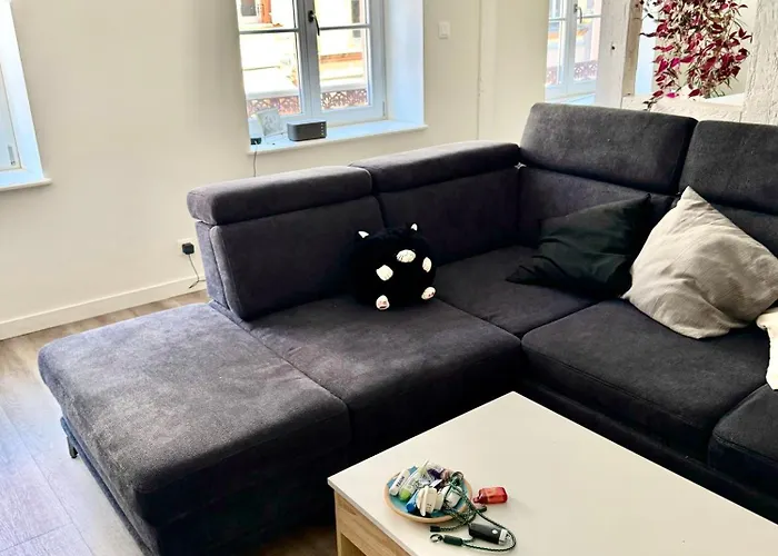 Grand Et Lumineux 2 Pieces Avec Climatisation En Zone Pietonne *