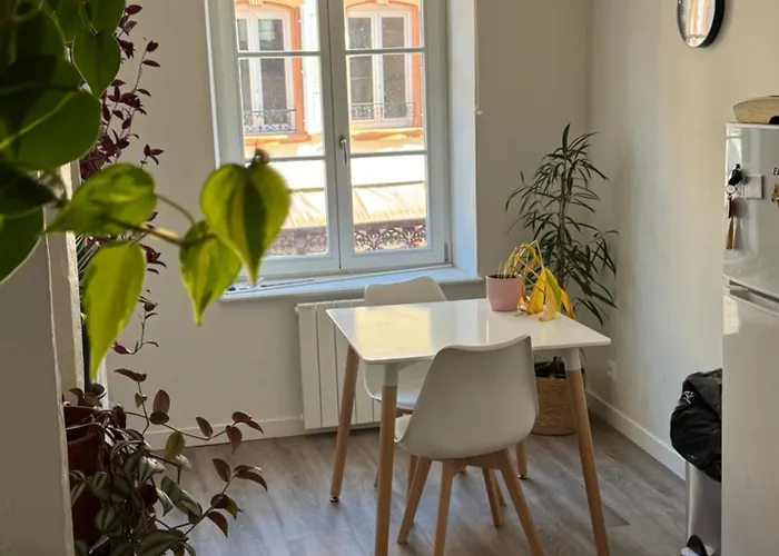 Grand Et Lumineux 2 Pieces Avec Climatisation En Zone Pietonne דירה אגנו